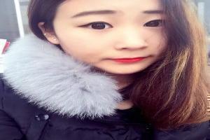第七条猎狗手抄报图片